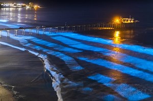 Spiagge bioluminescenti che si illuminano di notte: dove e perché succede il fenomeno della bioluminescenza - Idee Viaggio .IT