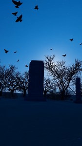 It's that time of year when pumpkins glow, shadows flicker, fog thickens and you can't help but think, wait, did you see that? Even when things get a little eerie, there's no trick in the treat for Visionary AI Assist. Its AI-based person and object detection ensures every movement is recognized for what it truly is - whether it's a worker, an object, or just a Halloween illusion. Because real vision doesn't get fooled by Halloween tricks. 🎃 #SICKSensorIntelligence #Halloween | SICK Sensor Inte