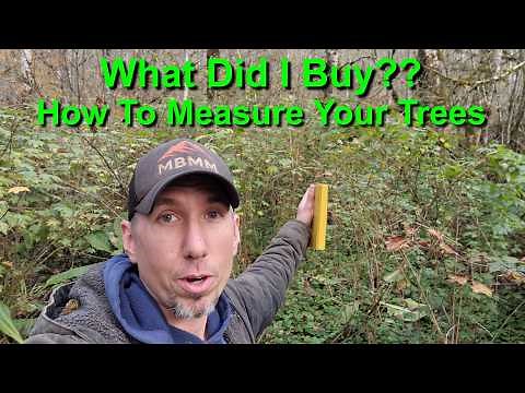 How To Measure & Cruise Timber