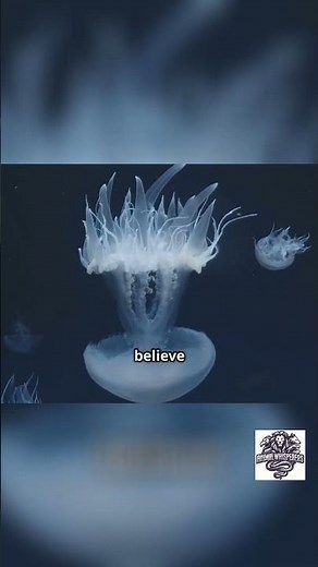 Immortal Jellyfish: Can This Creature Live Forever?