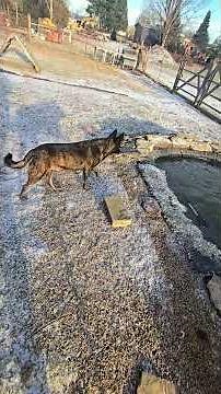 That Might CHANGE TODAY! #WhittAcres #enjoynaturetoday #homesteadinglife