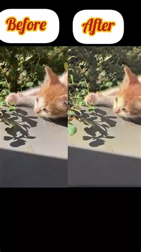 inshot shadow CC tutorial #tutorial #inshot