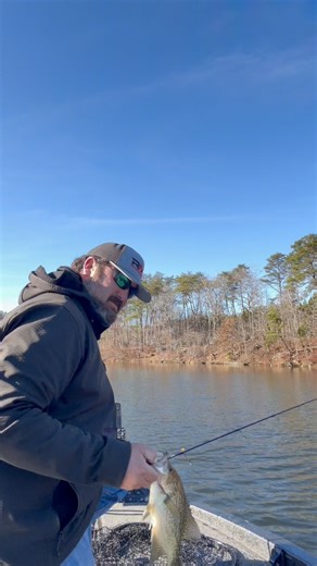 They were chewing so I decided to get a cast to catch but ended up getting 5! #crappie #Alabama #crappiefishing #alabamaoutdoors | Logan Johnson