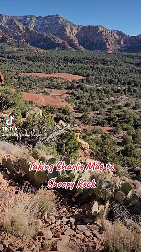 2.9K views · 86 reactions | A fun hike to Snoopy Rock with Charlie Mae . #explorearizona #arizona #arizonahiking #arizonaadventures #hiking #hikingadventures #hike #hikingtrails #hikersofinstagram #adventures #adventureawaits #photography #photooftheday #photo #photographer #sedona #sedonaarizona #hiking #redrocks #vortex #oakcreek #happyplace #sedonaaz #hikeaz #hikearizona #sedonacaves #exploreaz #desert #deserthiking #offtrail #beautifuldestinations #dirtbaggypsies | Sedona Arizona | Facebook
