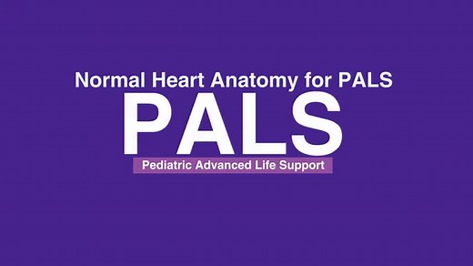 Normal Heart Anatomy & Physiology