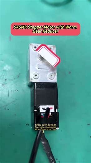 SASMR Stepper Motor with Worm Gear Reducer #stepper_motor #automobile #cncmill #cnc #machine