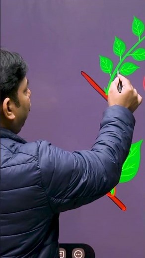 Simple vs. Compound Leaves Explained! #Science #Neet #Plants #Biology #Botany #Learning #Shorts