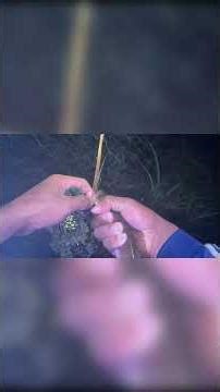 Solo Night Fishing Trap in the Rice Fields | Huge Catch!