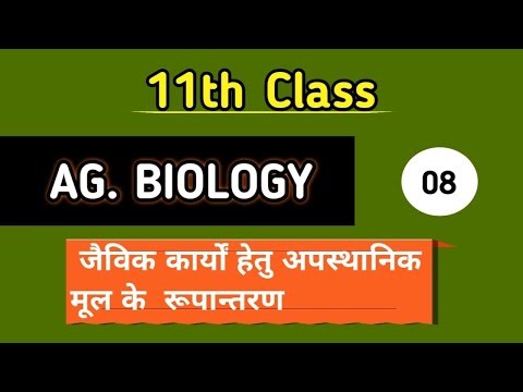 Adventitious root modifications for biological functions | Class 11 Agriculture biology lesson 3 ...