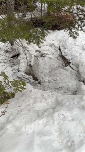 Here comes spring. #Maine#Shorts#Rangeley