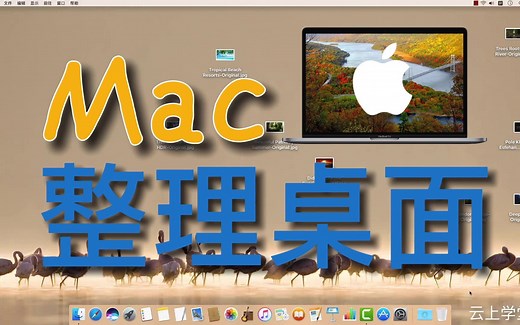 Mac整理桌面 学会这些技巧你的桌面不再凌乱！MacBook苹果电脑使用教程macOS系统