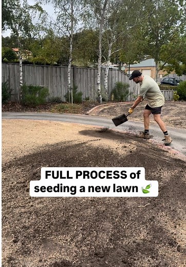 Step-by-Step Process for Seeding a Ryegrass Lawn