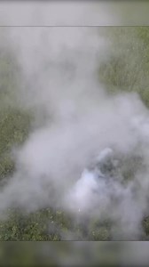 Best Premium Fireworks Review 2025: Performance Test & Value for Money Comparison Part 14 | Viral Spiffy