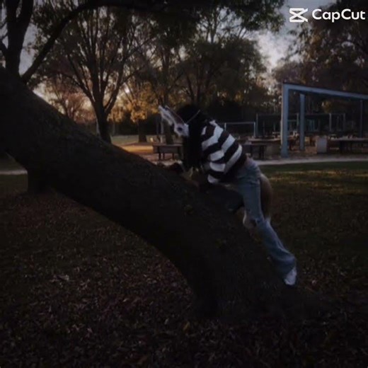 I go to the park #therian #alterhuman #community #comment #subscribe #support #antizoo #park