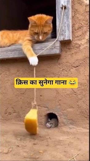 क्रिस का सुनेगा गाना 😂 #comedy # #funnycomedy #funnyvideo #barachattiteam #youtubeshorts