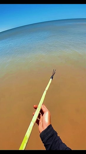 Mastering Bowfishing Techniques for Effective Survival