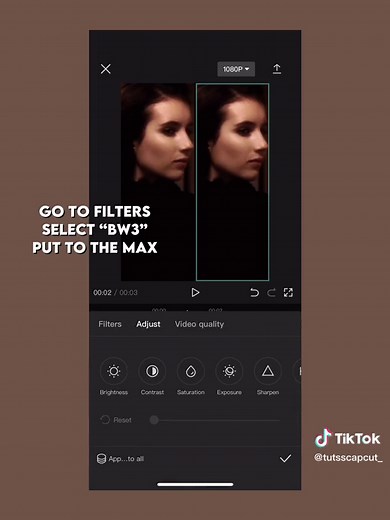 CapCut Tutorial: How to Create Double Screens