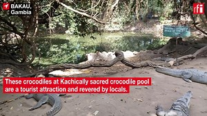 87K views · 276 reactions | Although international tourism has virtually collapsed in the Gambia, the downtime created by the Covid-19 pandemic has forced the tourism industry to rethink how to attract Gambians and tourists from neighbouring countries to local sites https://rfi.my/86fw.f | RFI English | Facebook