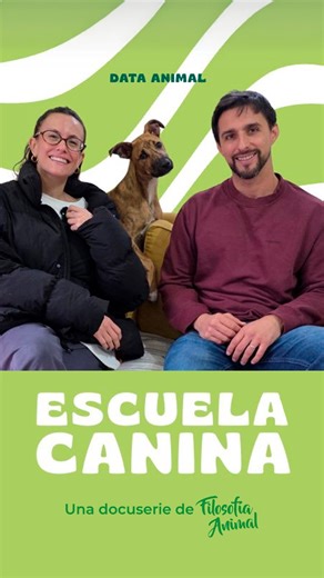 FILOSOFIA ANIMAL- Educación canina sin castigos on Instagram: "✨ ¡Estamos de estreno!!! Llegó Escuela Canina 🐶❤️ La nueva serie documental de Filosofía Animal y @dataanimalok donde Juan Manuel y @melbri visitan hogares reales para resolver desafíos de convivencia con perros. En cada episodio vas a aprender herramientas simples para mejorar la vida de tu perro: miedos, ansiedad, inseguridades, socialización, rutinas y más. 🎥 Episodios cortos. 🏠 Casos reales. 💛 Herramientas para conocer más a 