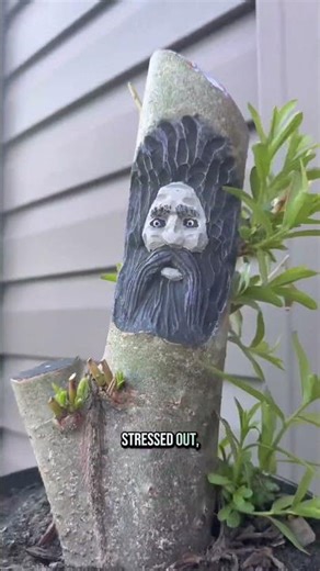 The Fool of Fool’s Spring: Part1