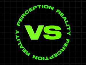 Perception vs Reality