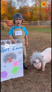 Meet Albert Einswine, the Genius Pig 🐷🧠 This tiny scientist presented his award-winning research on the smartest pig alive. Hair standing up from all that thinking, root-beer inventions pending, and ideas sniffed out faster than a hound dog. Absolute legend. 😂💛 #southernbabies #familylaughs #farmreels #cutereels #AI – created with Sora AI | JoyScroll