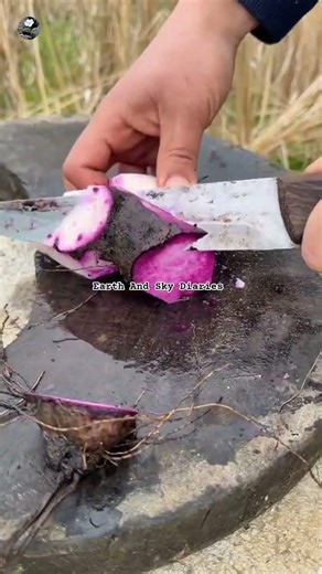 #trending #farming #harvesting #viral #shorts #youtubeshorts #cropfarming #cuttingskills