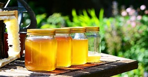 Dossier : comment installer une ruche chez soi