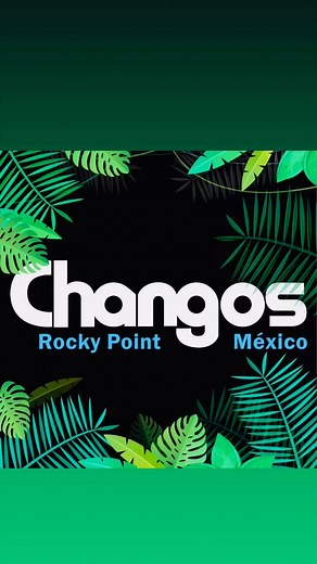 1K views · 17 reactions |  BIG NEWS! Changos Rocky Point has a NEW home for Spring Break 2025!  Now rocking The Mirador area—the ultimate party spot!  Get ready for wild nights, epic music, and unforgettable vibes!  See you at Changos Bar – The Mirador!  #ChangosRockyPoint #NewLocation #TheMirador #SpringBreak2025 #BeachParty #GoodVibesOnly | Changos Rocky Point | Facebook
