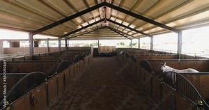 Inside view or horse stallion barn ranch. Aerial dolly shot at daytime in horses farmhouse at countryside. Trained equestrian stall waiting in rooftop shelter