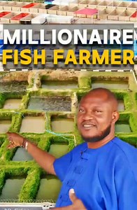 4.4K views · 64 reactions | Fish farming is a very lucrative business but do you know that the water used for farming fish can be used to grow various crops? Watch and learn. Farming is a lifestyle. Credit : Simon Arome. | Farming Web Zambia | Facebook
