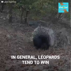 172K views · 1.4K reactions | An unbelievable confrontation was...