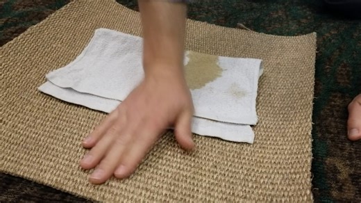 DMI- Stain Resistant Sisal Demo