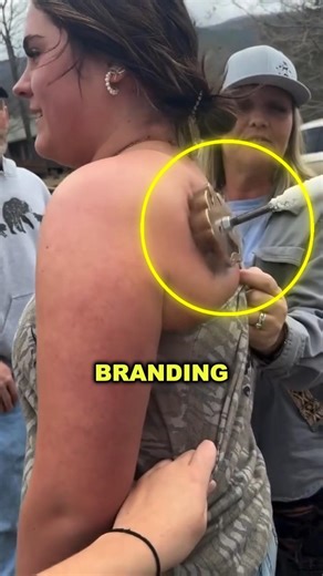 Freeze Branding: No Twitch, No Pain?