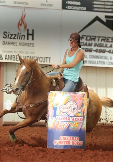 Minnie in the 2d with some of the top horses in the country 😮‍💨😮‍💨 #CapCut #fyp #mygirl #rodeo #rodeodreams #barrelracing #cowgirl #horses #horse #horsesoftiktok #barrels #barrelracer #horsegirls #horse #barrelhorse #dashtafamebred #heavenlyfirewater #aqha #southcarolina #traveling #blessed