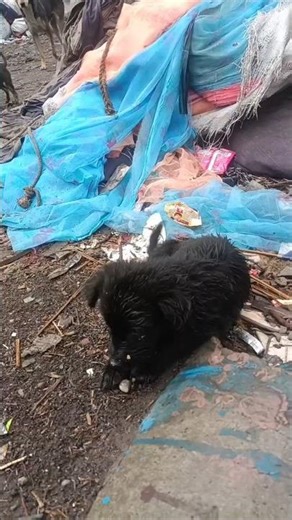 When was the child shivering from the cold?