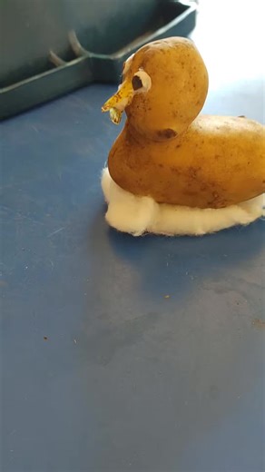 Videos de Alicia López (@lopez_alicia_) con “sonido original - Alicia López”