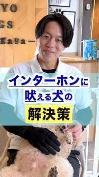 ピンポンに吠えるなら○○で解決！