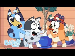 Viel Spaß mit Blueys Albernsten Momenten! 🤪 | Bluey - Deutsch Offizieller Kanal