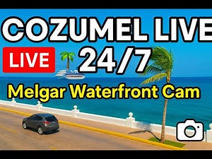 🌴 LIVE: Cozumel Waterfront 24/7 – Melgar Ocean View | Ferries, Cruise Ships, Sunset and Island Life