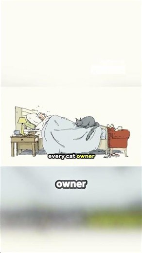 Why Your Cat Suddenly Stopped Sleeping With You! 🐱