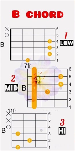 B Chord All 3 Position | Basic guitar Chords for beginners #acousticguitarchords #basicguitarchords