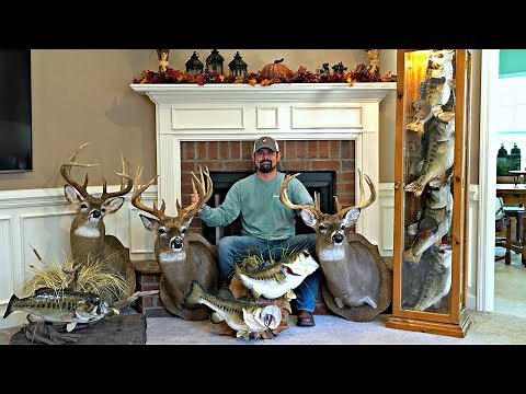 Man Cave Tour!! | All My Fish and Deer Mounts