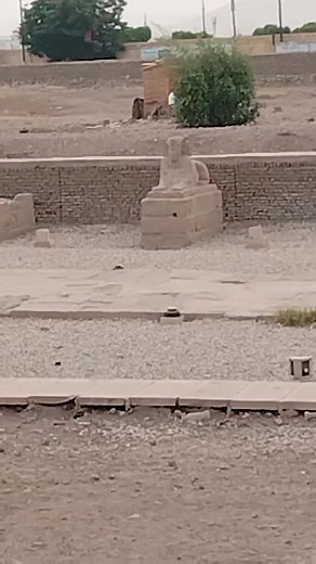 Sphinxes avenue and Luxor temple by me 📷 #sphinx #Luxor #luxortemple #Egypt #byme #visitegypt #thisisegypt #ancient #ancientegypt I Adore Egypt ...................................... Mustafa Said | I Adore Egypt