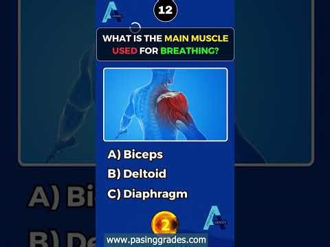 Can You Pass This Nurse Exam Quiz? 20 Questions That Get Harder Every Time