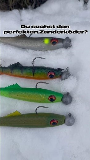 Du suchst den perfekten Zanderköder? Probier mal Finity One! #fishing #fish #zander #angeln