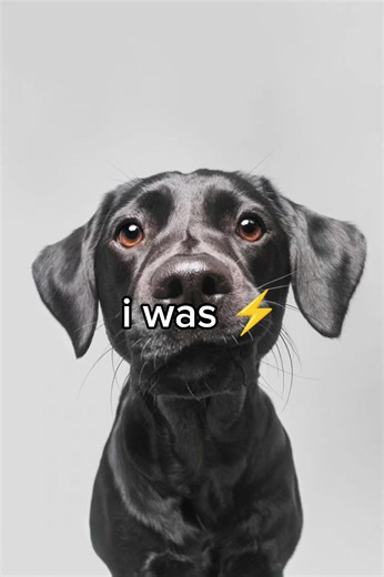 Thundah: The Lightning Before the Thunder