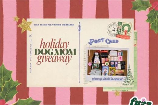 Lauren Riihimaki | [CLOSED] ✨GIVEAWAY!✨ I rounded up some hair, makeup & skin favs, my current holiday read, and a full @fuzzboyoriginals bundle for a v dog... | Instagram