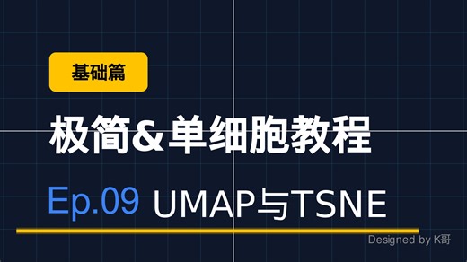 极简单细胞教程第九集 UMAP聚类