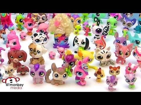 LPS Collection Tour - Fan Video!